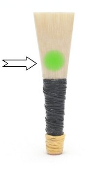 chanter-reed-sound-box chanter reed sound box